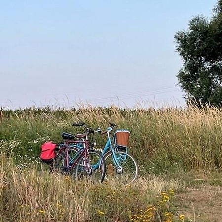 Lwb Ferienwohnung "Auszeit Im Denkmal" Wittenberg 외부 사진